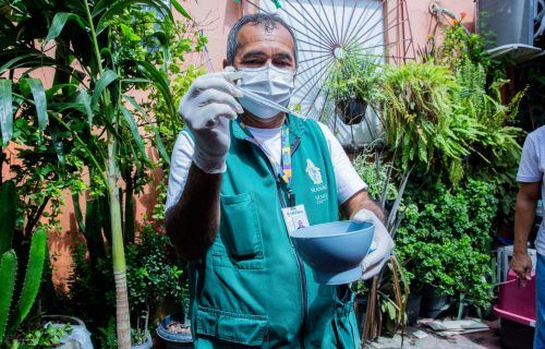 Manaus tem médio risco para doenças transmitidas pelo Aedes aegypti