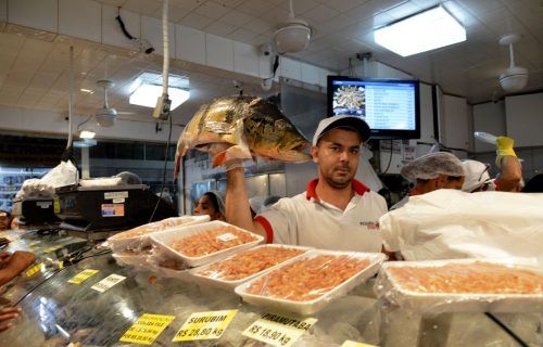 Peixes de seis estados da Amazônia têm contaminação por mercúrio