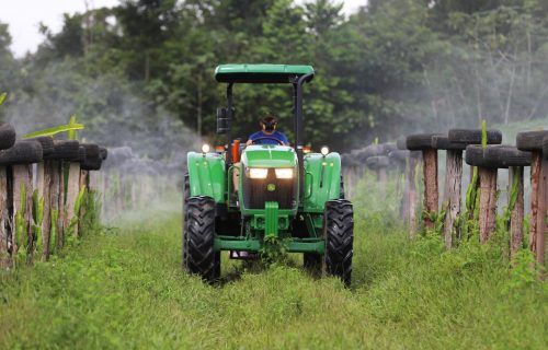 Novas tecnologias podem ser acessadas por meio do crédito rural no Amazonas