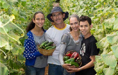 Plano Safra da Agricultura Familiar é lançado em Brasília