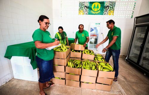 Governo do Estado beneficia 40 agricultores familiares da cooperativa de Manacapuru