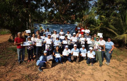 Produtores rurais ganham kits de sementes de açaí