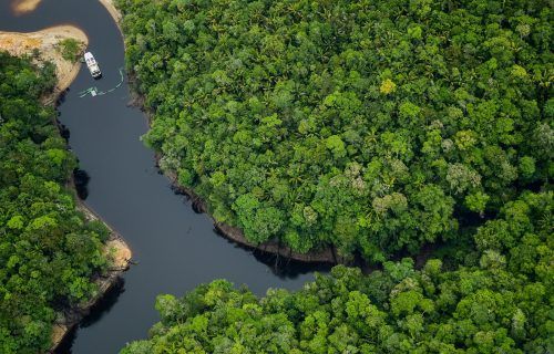 Amazonas é o melhor lugar do mundo para o ecoturismo