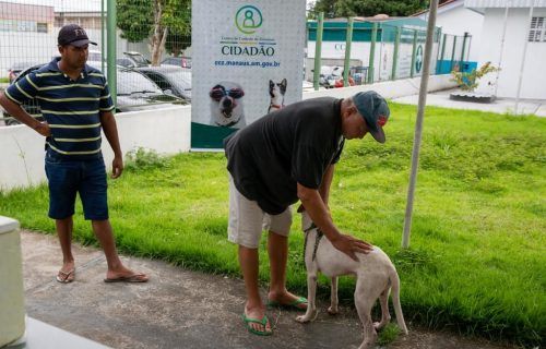 Descarte de dejetos de pets requer cuidados