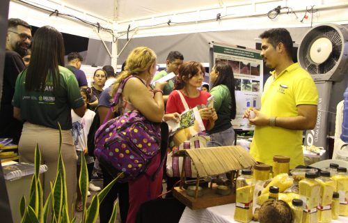 Novos sabores de farinha e um repelente à base de óleo da seringueira são apresentados na ação 'Fapeam na Feira'
