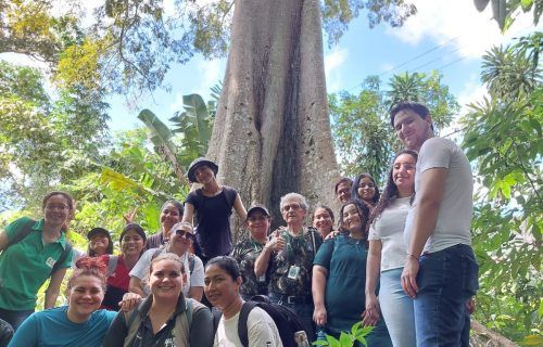 Oficinas gratuitas são realizadas em prol da conservação ambiental do Parque Sumaúma
