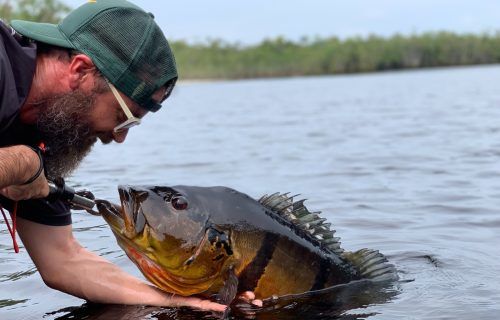 Temporada de pesca esportiva deve atrair 30 mil turistas ao Amazonas