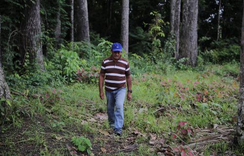Governo do Amazonas reforça necessidade de combater a pobreza para conservar florestas