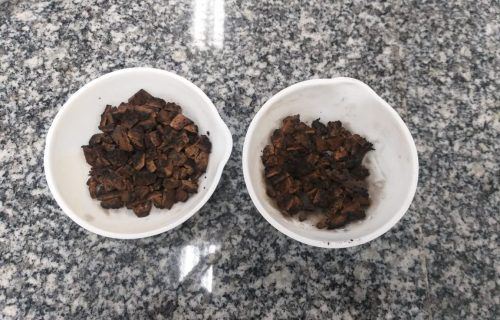 Dia da Natureza: Biocarvão de cascas de cupuaçu