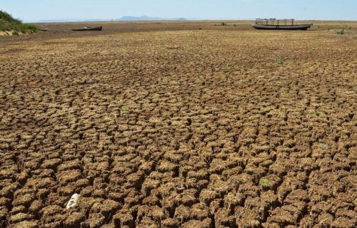 Previsão climática alerta sobre agravamento da seca no Nordeste
