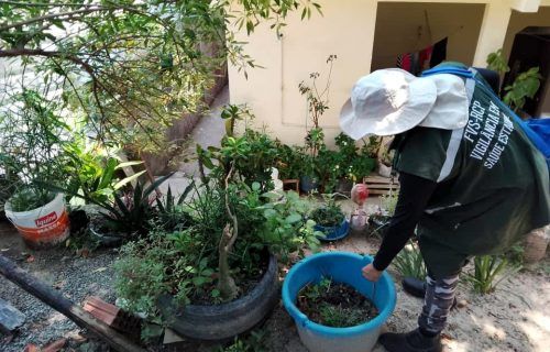 Dengue: Realização do último LIRAa de 2023 em Manaus