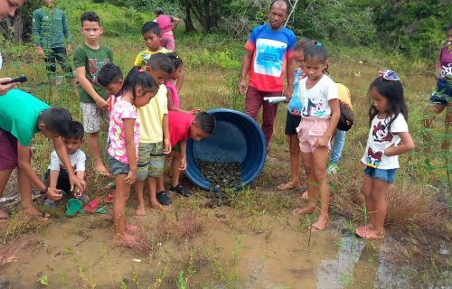 sema-02-soltura-rds-rio-madeira