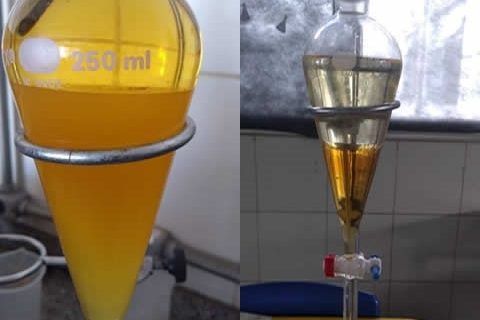 Alunos da rede estadual obtêm biodiesel a partir de óleo residual