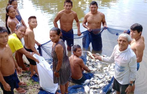 Edital do PAA Indígena no Amazonas prevê inscrições até o dia 20 de janeiro