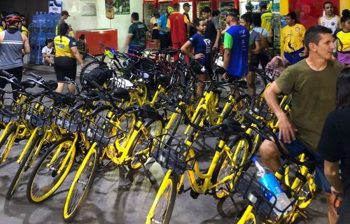 whatsapp-image-2024-02-19-at-13-47-12