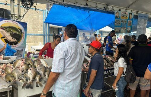 ads-feirao-do-pescado-2024-comercializou-117-toneladas-de-peixes-movimentado-r-28-milhoes-fotos-por-divulgacao-ads-4