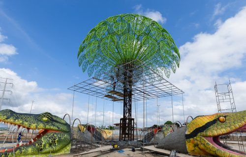 53725745424_3f00633cce_o