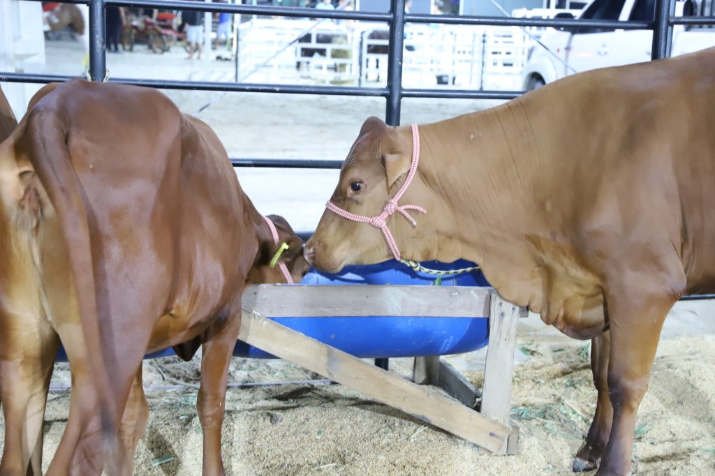 foto-isaac-maia-sepror_expoagro-exposicao-3