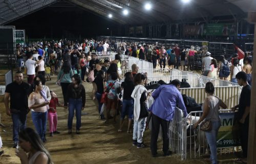 foto-isaac-maia-sepror_expoagro-exposicao