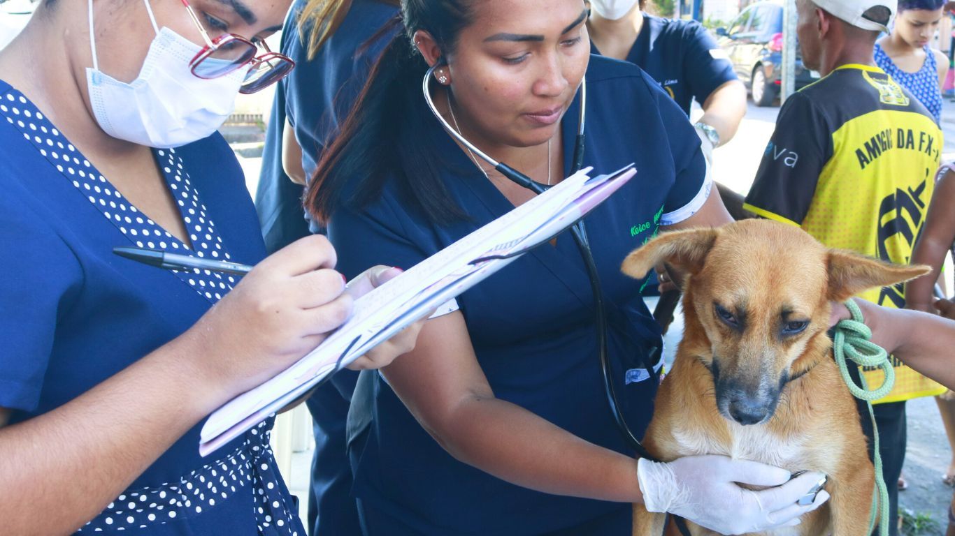 design-sem-nome-2025-03-27t165241-412