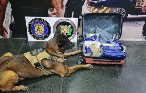 f2697afe-6743-41e3-954c-09d0a92b046c