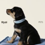 ryzi-pets_modelos-da-adotados-e-amados_credito-ryzi-studios-12