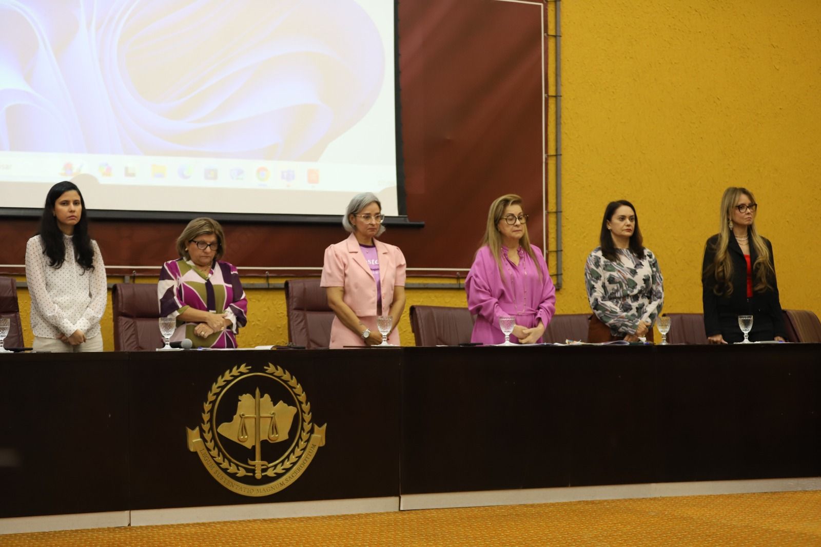 simposio-sobre-protecao-de-vitimas-de-violencia-domestica-foto_junio-matos