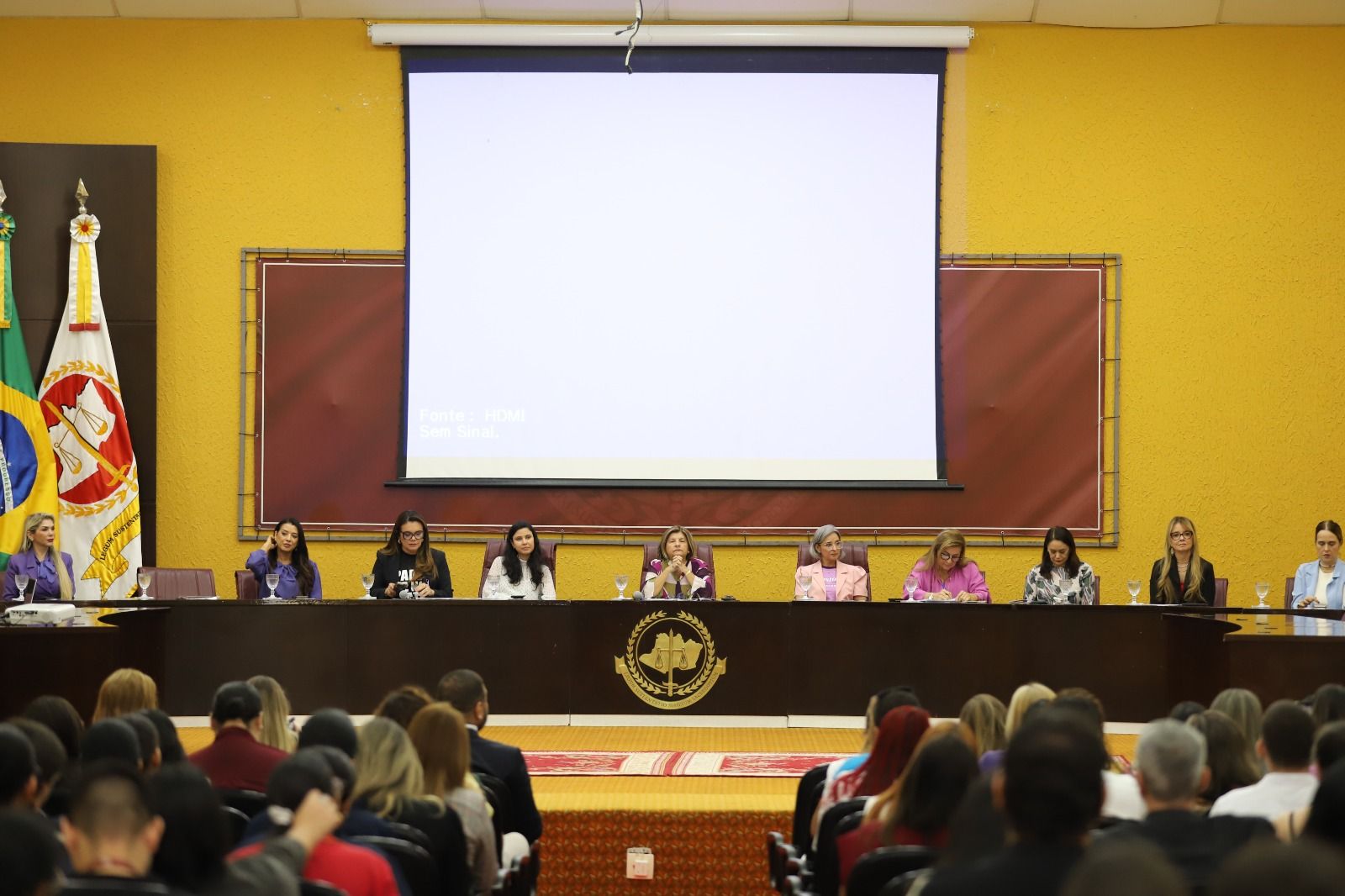 simposio-sobre-protecao-de-vitimas-de-violencia-domestica_foto-junio-matos