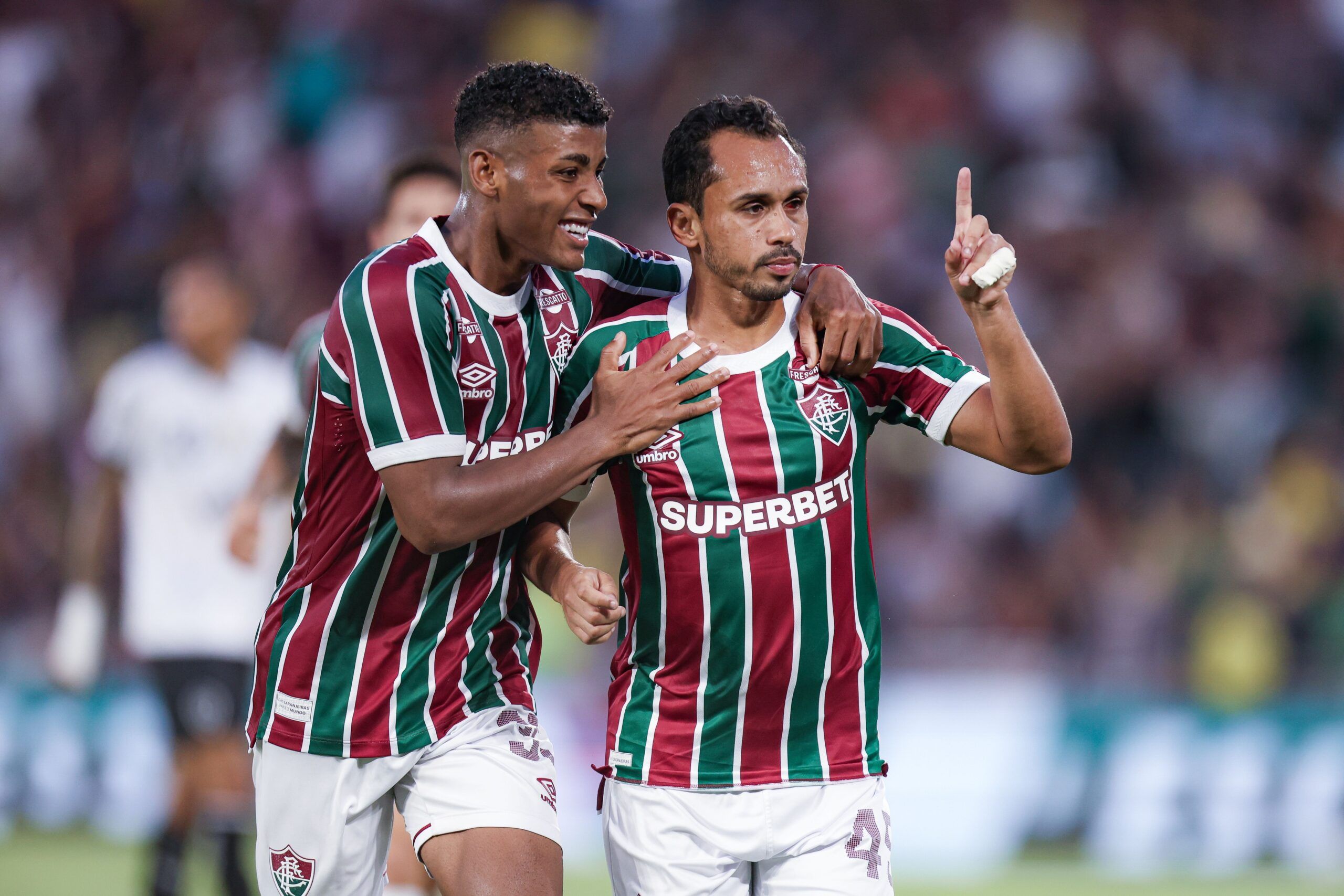 54818309651_236568f314_o