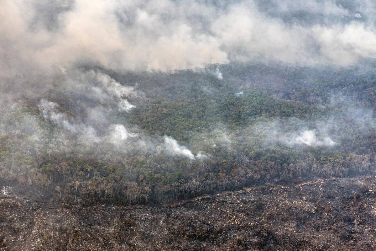 wildfire-and-burns-in-areas-financed-with-rural-credit-in-the-amazonincendio-florestal-e-queimadas-em-areas-financiadas-com-credito-rural-na-amazonia-julho-de-2024