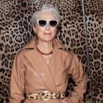 brinco-o-diabo-veste-prada-e1759250685253