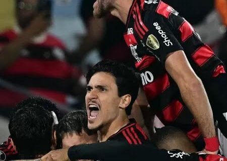 pedro-comemora-gol-marcado-pelo-flamengo-contra-o-estudiantes-pela-libertadores-1758246935716_v2_450x600-jpg