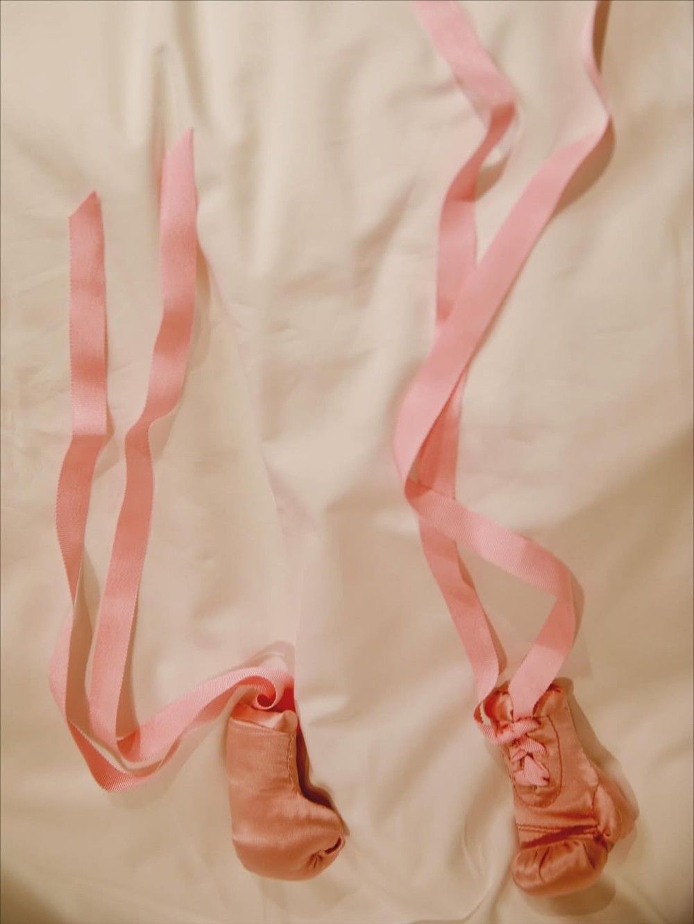 saveclip-app-553364032-18585448864025307-9158891694386212124-n