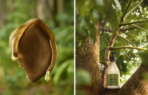 4cfd87b8a0370acd84e1f25adc593a1d