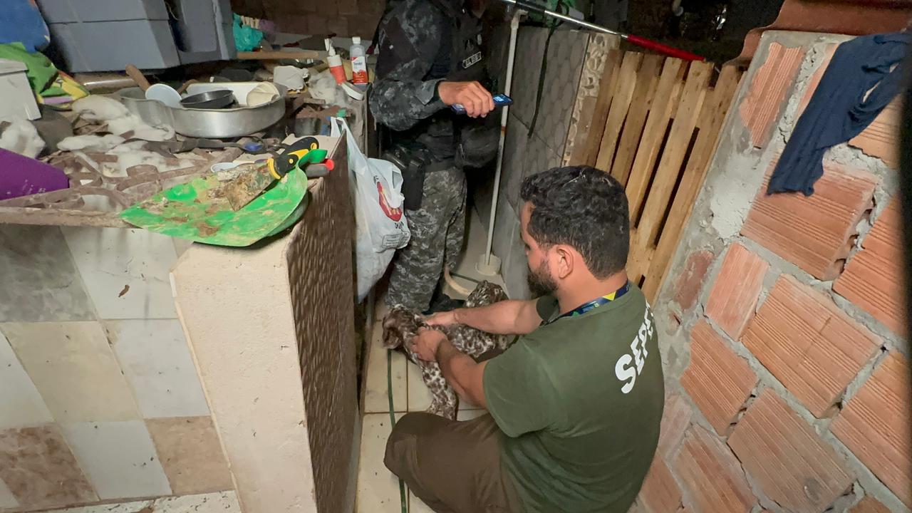 divulgacao_sepet_canil-2