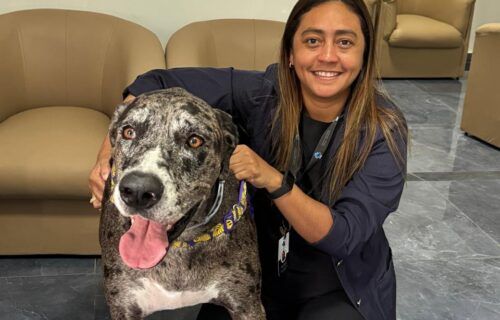 img-20250925-wa0050-2