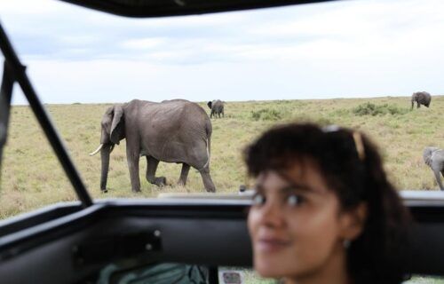 ultimo-look-combinando-com-elefantinhos-elefantoes-em-masai-mara-agora-cheguei-em-cape-town-p-1