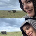 ultimo-look-combinando-com-elefantinhos-elefantoes-em-masai-mara-agora-cheguei-em-cape-town-p-2