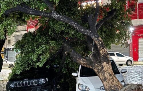 cbmam-1_foto-divulgacao-cbmam2