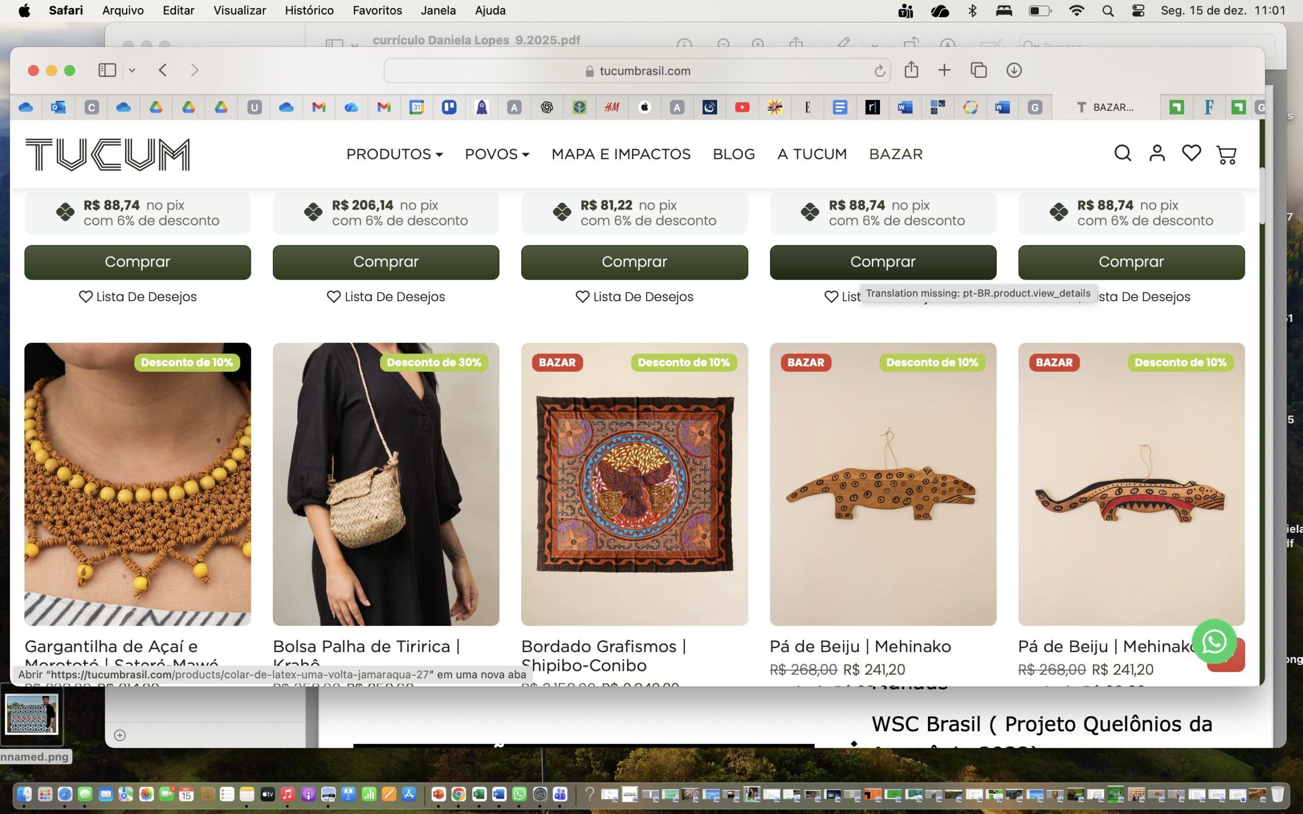 captura-de-tela-2025-12-15-as-11-01-10