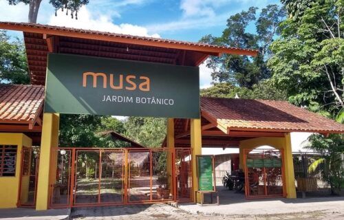 ipaam_museu-da-amazonia-recebe-licenca-de-operacao-do-ipaam-para-jardim-zoologico_foto-1-reproducao-internet-29-12-2025