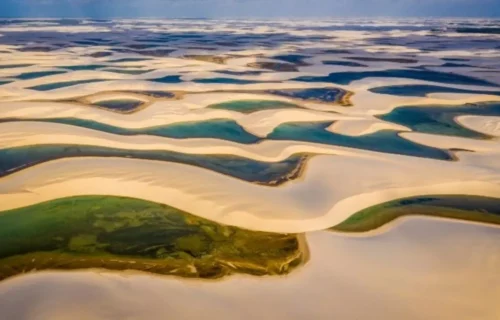 imparcial-4_easy-resize-com_-2-jpg