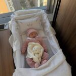 saveinsta-me-611596620-18551299882007835-9118235619365302779-n