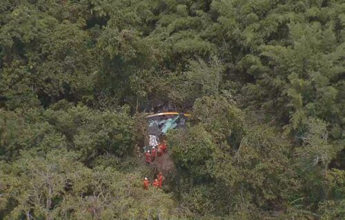 whatsapp-image-2026-01-17-at-13-07-01-1