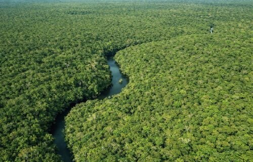 ipaam_queda-no-desmatamento-em-janeiro-de-2026_credito-da-foto-1_divulgacao-governo-do-amazonas-16-02-2026