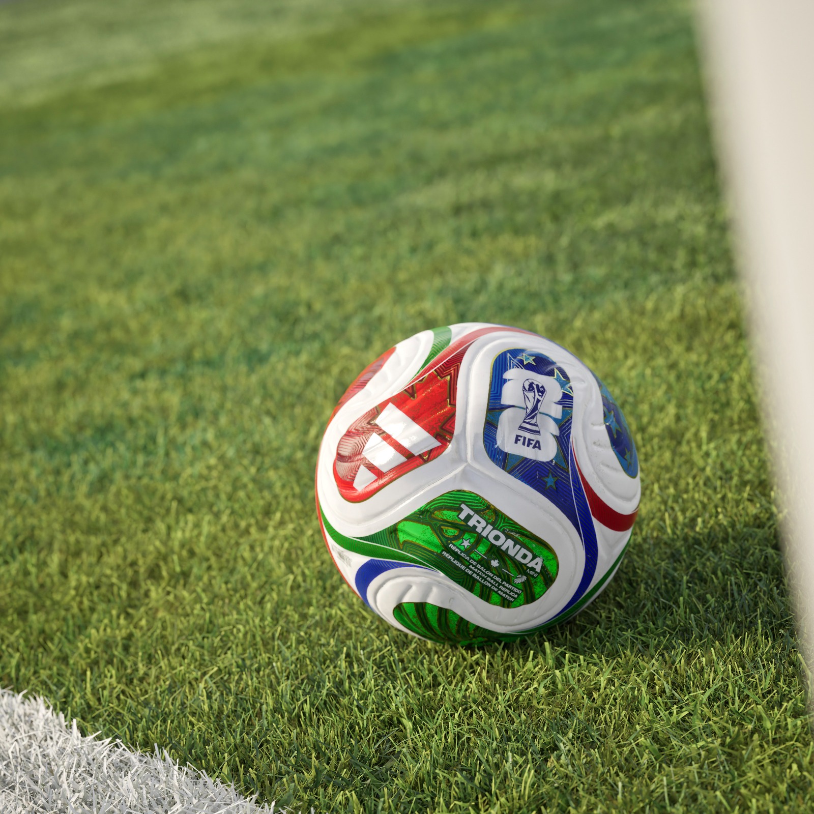 whatsapp-image-2026-02-24-at-16-29-57