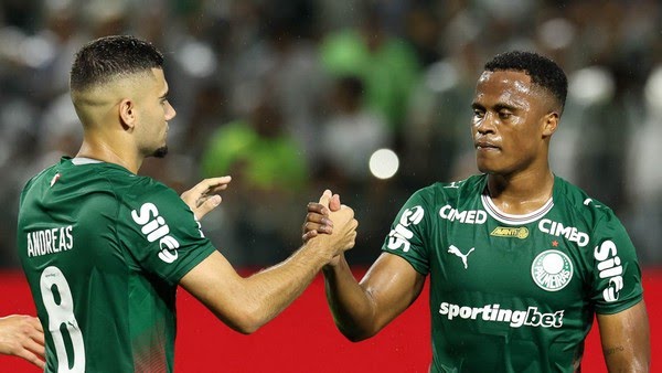 palmeiras