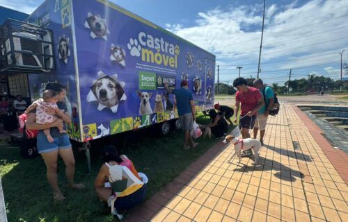 divulgacao_sepet-1-2