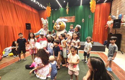 whatsapp-image-2026-03-28-at-10-35-33