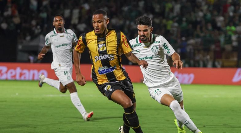 palmeiras-e-novorizontino-3307597ae1aedb83